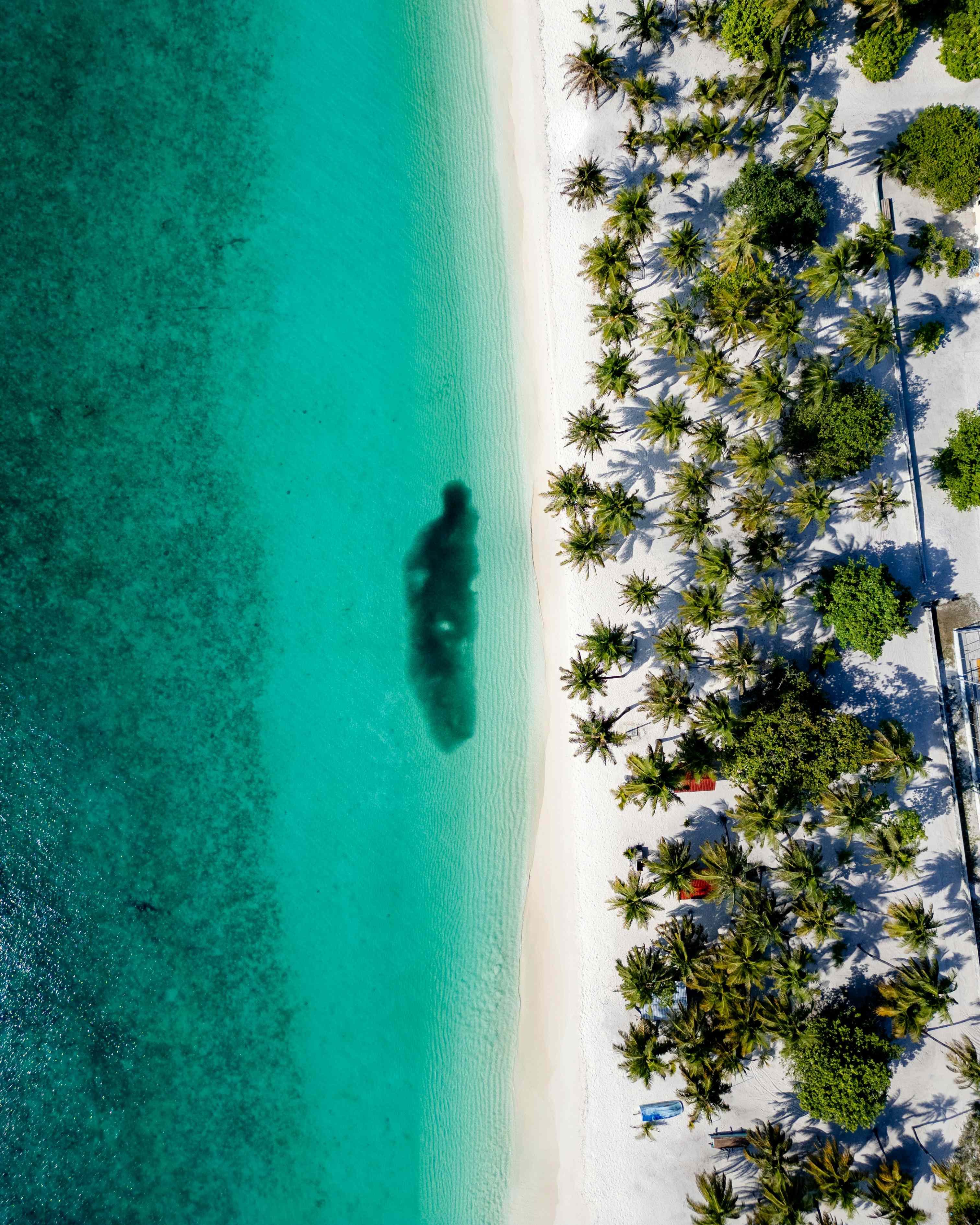 Cerulean View